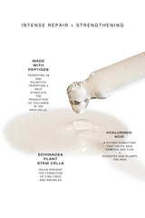 BIBA DE SOUSA The Plant Stem Cell Serum with Peptides 30ML/1oz