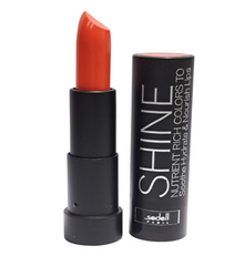 Shine Nutrient Rich Colors To Soothe Hydrate & Nourish Lipstick