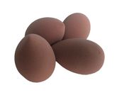 Sedell Paris Chocolaty Sponge Pack of 4