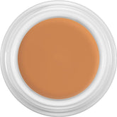 KRYOLAN CAMOUFLAGE CREME 4G NO.D5
