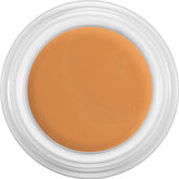 KRYOLAN DERMA COLOR CAMOUFLAGE CREAM DFD - 4GM