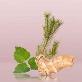 CALVIN KLEIN EUPHORIA MEN DEODORANT STICK - 75ML