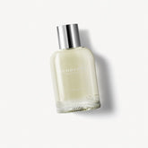 Burberry Weekend Edt 100ml (Men)