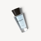 Burberry Touch Eau de Toilette - 100ml (M)
