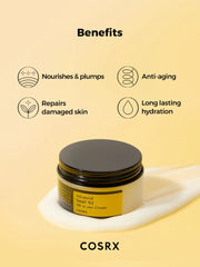 Cosrx Advanced Snail 92 All In One Cream 100g