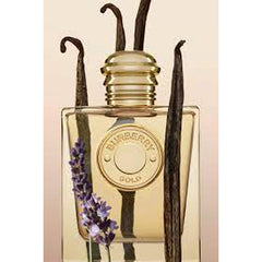 Burberry Ladies Gold EDP Spray 0.16 oz Fragrances (Miniatures)