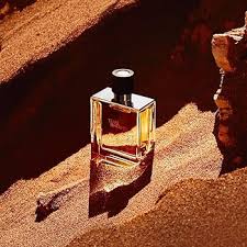 TERRE D'HERMES PARFUM SPRAY 2.5 OZ MEN by Hermes