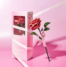 SHEGLAM Pink Ribbon Rose Blush