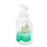 BATH & BODY WORKS GENTLE & CLEAN FOAMING HAND SOAP GARDEN TH - Kunchals