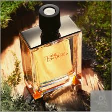 Hermes Terre D'Hermes Eau De Toilette Spray-100ml
