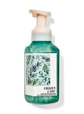 BATH & BODY WORKS GENTLE & CLEAN FOAMING HAND SOAP FROZEN LA