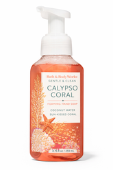 BATH & BODY WORKS GENTLE & CLEAN FOAMING HAND SOAP CALYPSO C - Kunchals