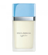 Dolce & Gabbana Ladies Light Blue EDT Spray 3.4 oz Fragrances