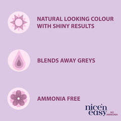 Clairol Nice 'n' Easy By Lasting Colour 79 Dark Brown