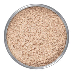 KRYOLAN PROFESSIONAL TRANSLUCENT POWDER TL9 - 20G