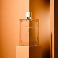 Hermes terre d'hermes eau de toilette-200ml