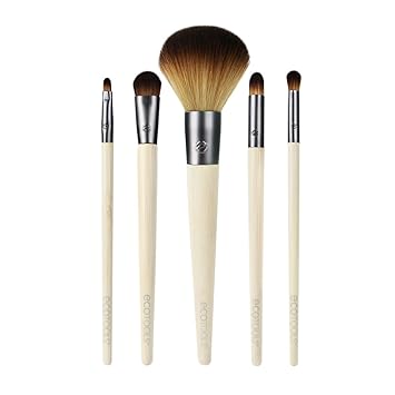 EcoTools 6 Piece Day To Night Clutch Set, 5.87 Ounce
