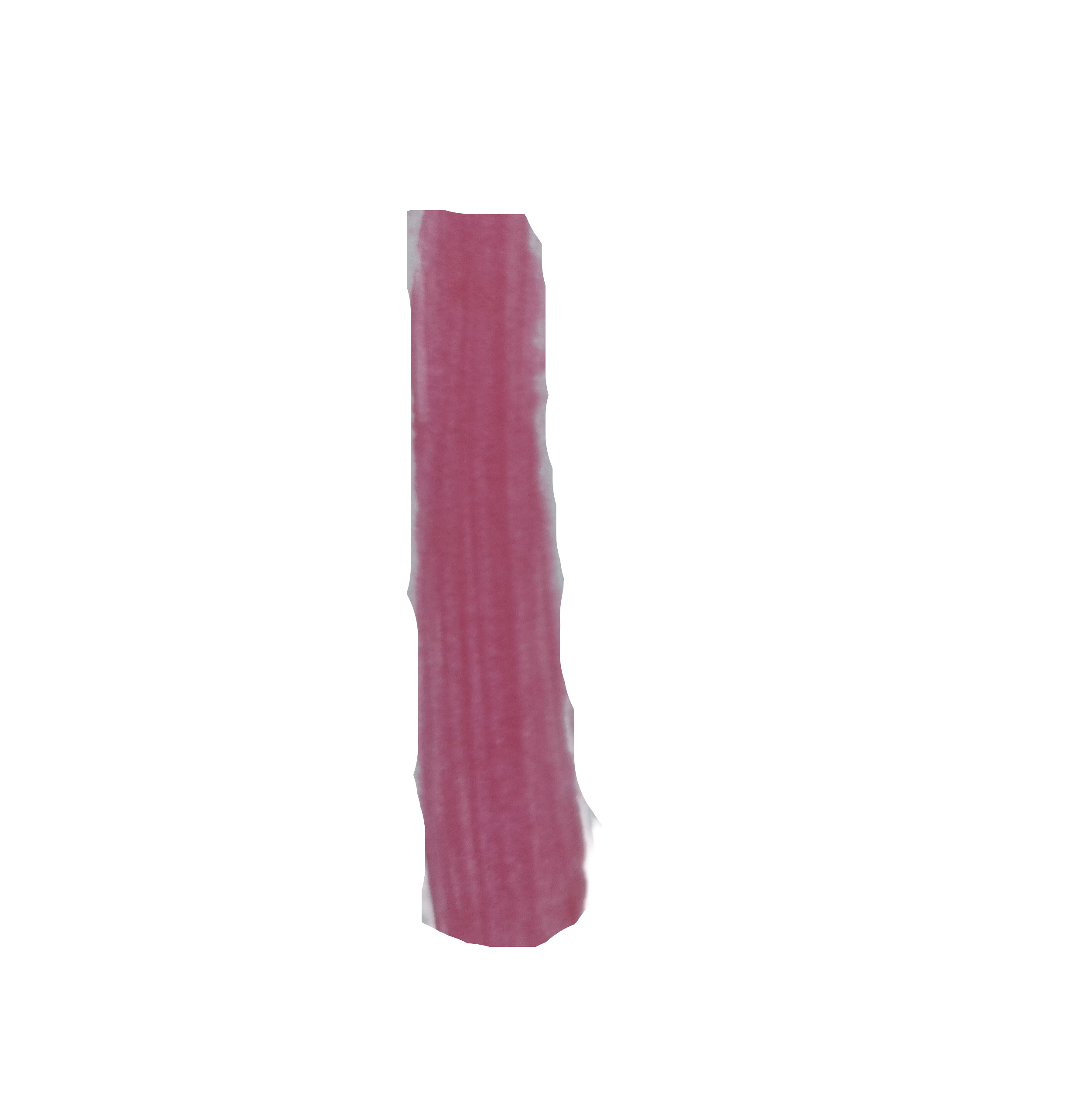 Sedell Paris Lip Gloss
