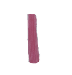 Sedell Paris Lip Gloss