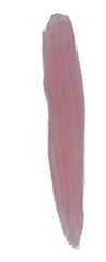 Sedell Paris Lip Gloss