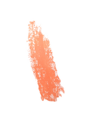 Sedell Paris Nutrishine rouge flamboyant Long Lasting Matte Cream Lipstick 3.8g
