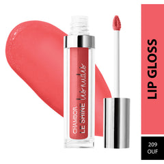 Chambor Le Shine Les Nudes Lip Gloss 209 Ouf - 4.5ml
