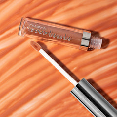 Chambor Le Shine Les Nudes Lip Gloss 210 Nude Dimension - 4.5ml