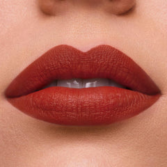 Estee Lauder Pure Color Long-Lasting Matte Lipstick with Matte Finish | Plumping & Nourishing-333 Persuasive