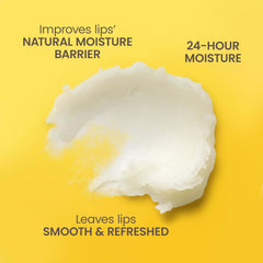 BURTS BEES MOISTURIZING LIP BALMS 4.25 - Kunchals