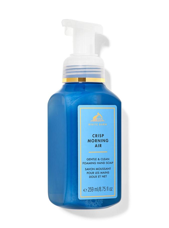 Bath & Body Works Gentle And Clean Foaming Hand Soap ( 259 ml)