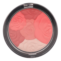 Sedell Professional Multi Blush Powder - 8gm