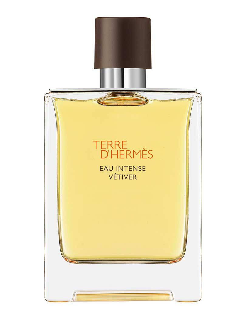 Terre d'Hermès Eau Intense Vétiver Eau de Parfum – 200ml