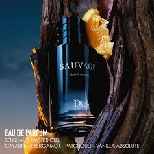 Dior Sauvage Eau de Parfum - 100ml For Men