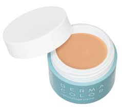 KRYOLAN DERMA COLOR CAMOUFLAGE CREME 4G D20