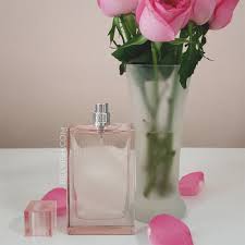 Burberry Brit sheer Eau de Toilette - 100 ml