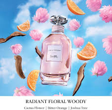 Coach  Dreams / EDP Spray 3.0 oz (90 ml) (w)