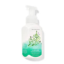 BATH & BODY WORKS GENTLE & CLEAN FOAMING HAND SOAP GARDEN TH - Kunchals