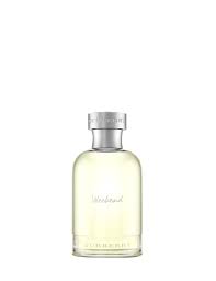 Burberry Weekend Edt 100ml (Men)