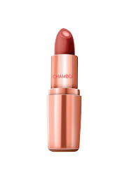 CHAMBOR COLOR STUDIO MATTE PERFECTION LIPSTICK 4G 951 ROSE S - Kunchals