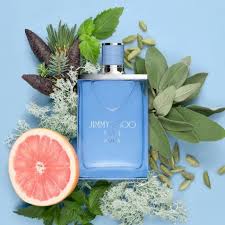 Jimmy Choo  Men's Aqua EDT Spray 100ml/3.38 oz Fragrances