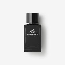 BURBERRY MR BURBERRY EDP 150ML