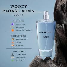 Burberry Touch Eau de Toilette - 100ml (M)