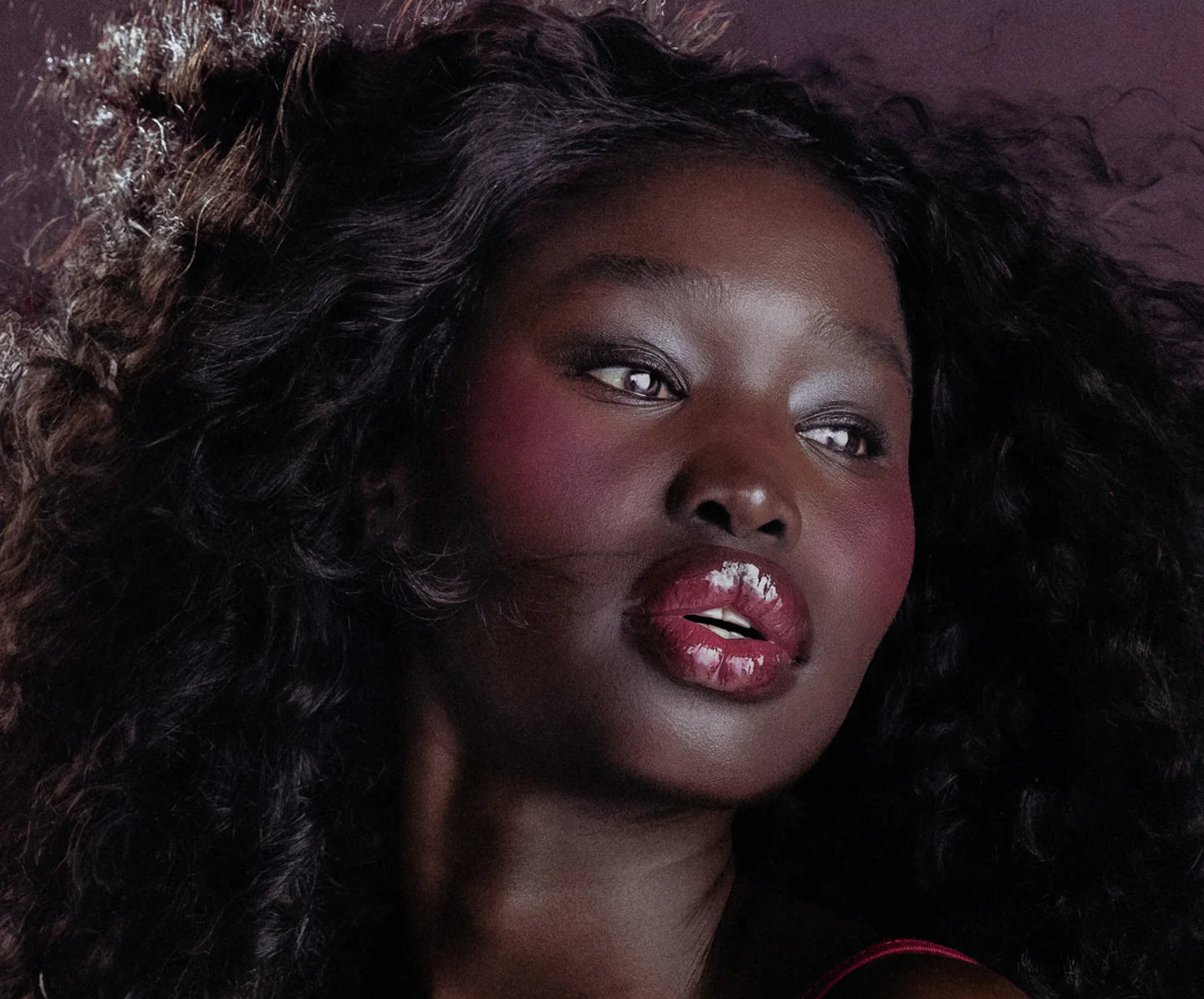 Rhode Pocket Blush - Plum