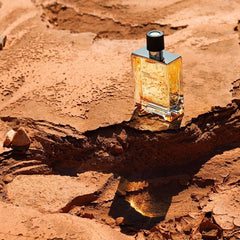 Hermes terre d'hermes eau de toilette-200ml