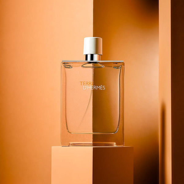 HERMÈS Hermãˆs terre d'hermes eau de toilette-200ml